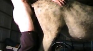 cums,beast