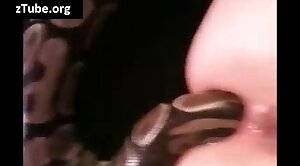 animals-video,snake