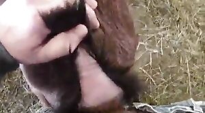 povvideo,animal-porn