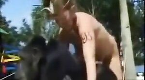 monkey,dealing