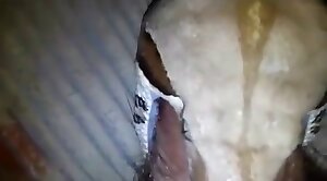 animal-porn,kinda