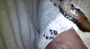 animal-porn,kinda