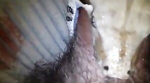 animal-porn,kinda