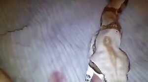 animal-porn,kinda