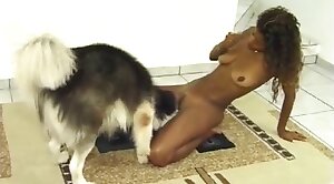 begging,pussy