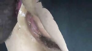 animal-porn,pussy