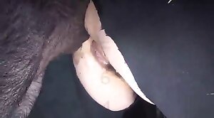 animal-porn,pussy