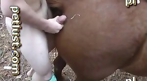 zoo-hd,animal-porn