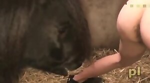 stallion,sex-movie