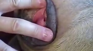 zoo-hd,sex-movie