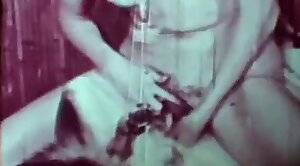 vintage-style,free-zoo