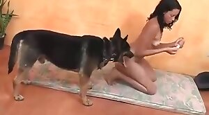 zoo-hd,animal-porn