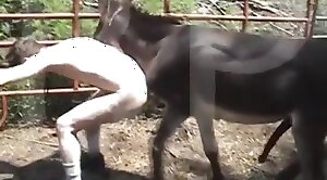 free-zoo,sex-movie