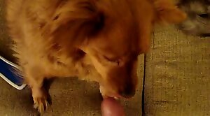 zoo-hd,sex-movie