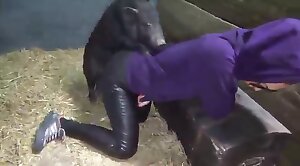wonderful,bestiality-stories
