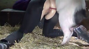 animals-video,sex-movie