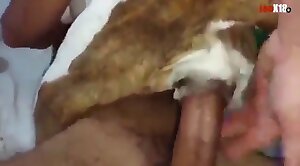 beastiality,sex-movie