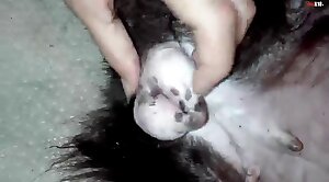 dude-porn,pussy