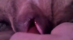 beastiality,animals-video