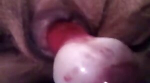 beastiality,animals-video