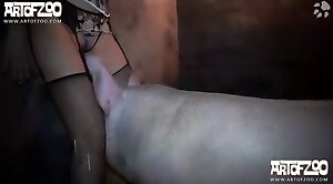 pig,beastiality