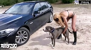 zoofilia,animal-porn