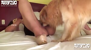 enjoying,dog-xxx