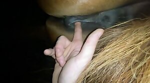 gape-videos,zoofilia