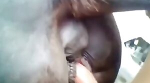 horse-sex,pussy