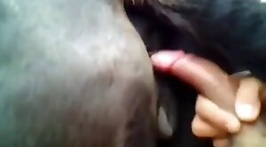 horse-sex,pussy