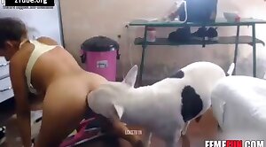 dog-xxx,sex-movie