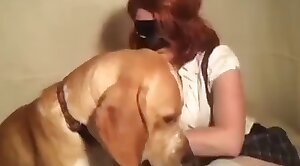 dog-xxx,animal-porn