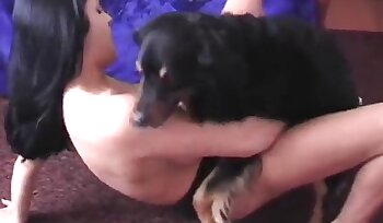 与动物发生性关系,犬类与人类的性行为