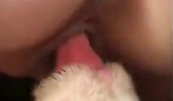 seks met dieren,dierentuin porno video's