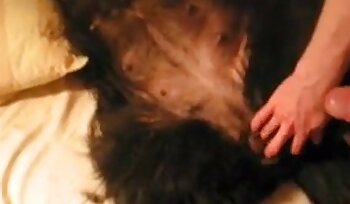 seks met dieren,bestialiteit seks porno