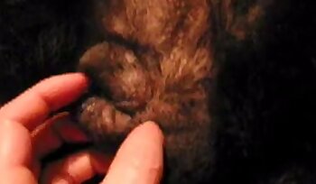 sex with animal,bestiality sex porn