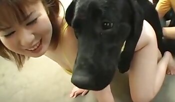 sex se zvířetem,asijské dívky