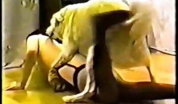 zoophilia sex videos,bestiality sex porn