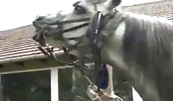 sexiga blondiner,zoofili sexvideor