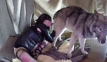 sesso con animali,video di sesso zoofilia