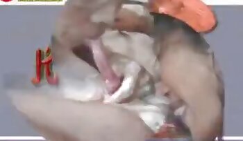 sex with animal,bestiality sex porn