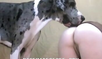 sex with animal,bestiality sex porn