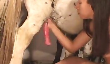 sex se zvířetem,zoofilie sexuální videa
