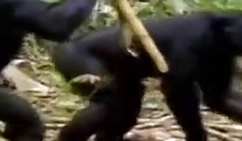 sesso con animali,video porno dello zoo