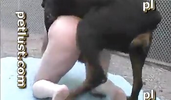 seks ze zwierzęciem,porno z seksem bestialskim