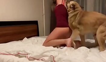 dierentuin porno video's,honden- en mensenseksualiteit