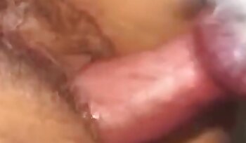 与动物发生性关系,动物园色情影片