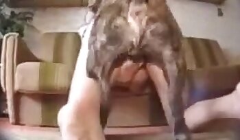 zoofili sexvideoer,kvinne- og dyreporno