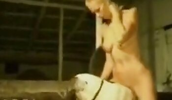 πορνό με σκύλο,βίντεο πορνό σε ζωολογικό κήπο