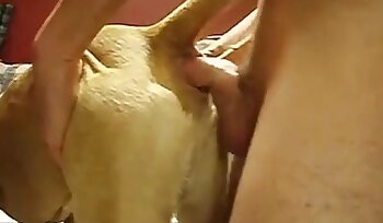 porno z psem,porno z seksem bestialskim